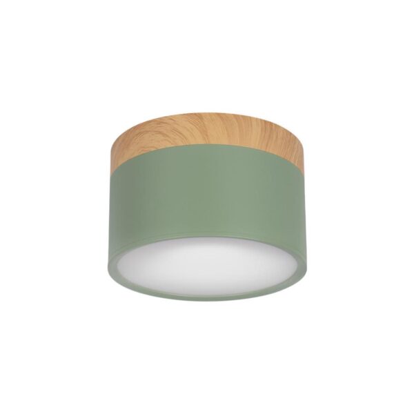 10162 Green Накладной светильник LOFT IT Grape