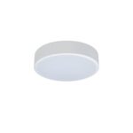 10002/12 White Потолочный светильник LOFT IT Axel
