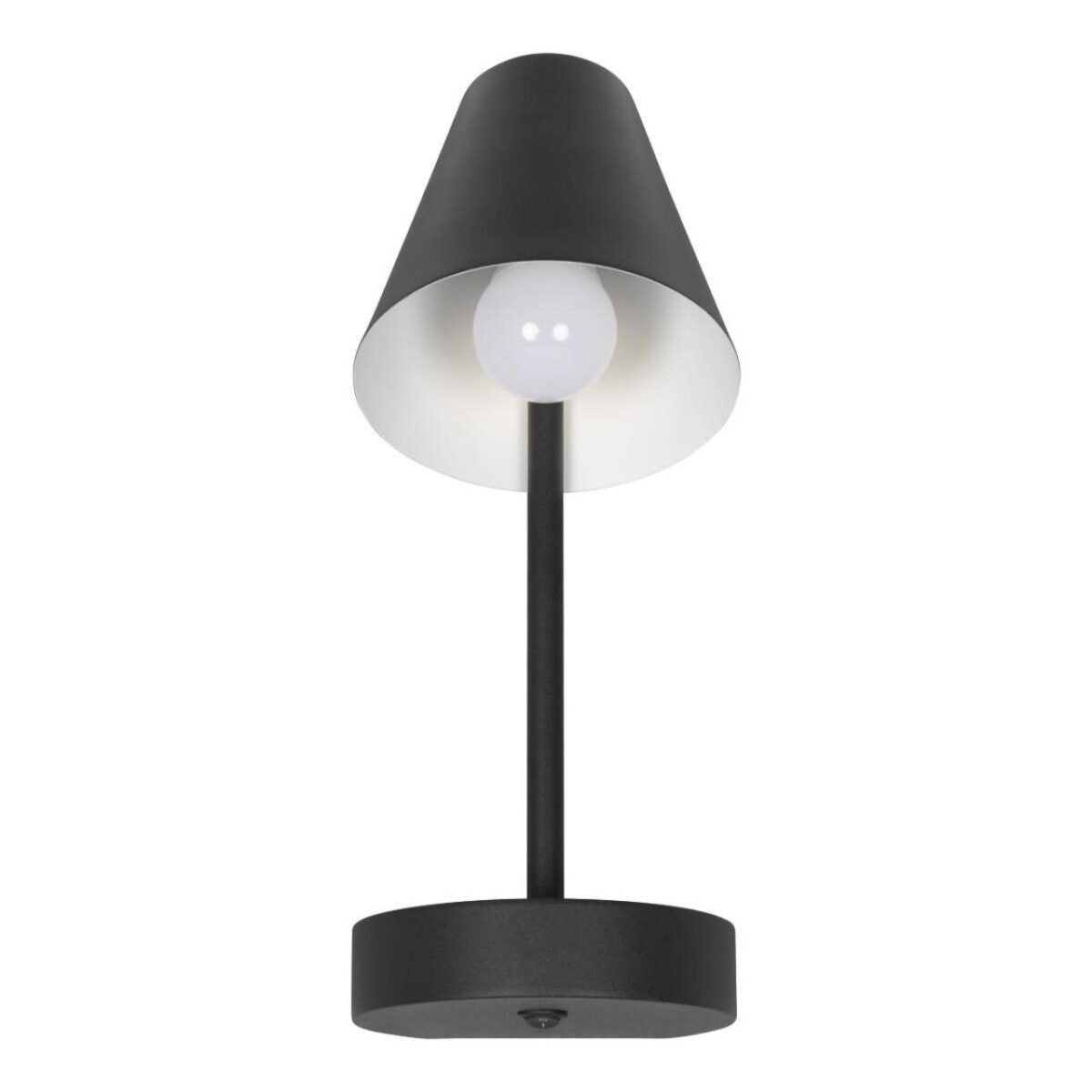 10216/1W Black Настенный светильник LOFT IT Shelf — изображение 1
