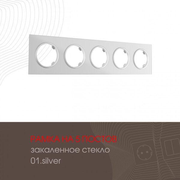 Рамка из закаленного стекла на 5 постов 502.01-5.silver