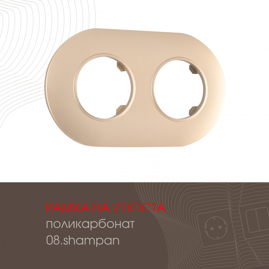 502.08-2.shampan Рамка из поликарбоната на 2 поста 502.08-2.shampan — изображение 1