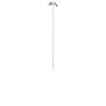 10359/800 White Потолочный светильник LOFT IT Cane