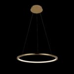 10014M Подвесной светильник LOFT IT Ring — изображение 2