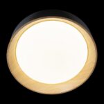 10202 Black Потолочный светильник LOFT IT Coin