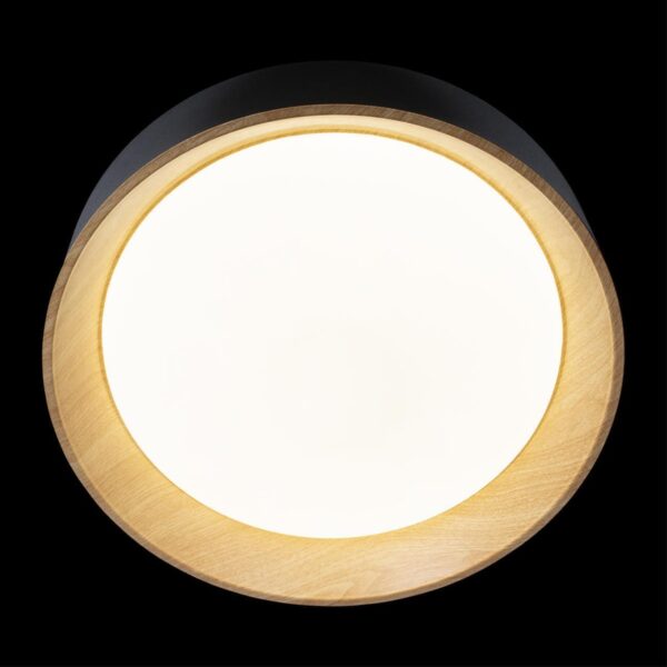 10202 Black Потолочный светильник LOFT IT Coin