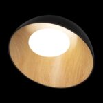 10197/500 Black Потолочный светильник LOFT IT Egg — изображение 4