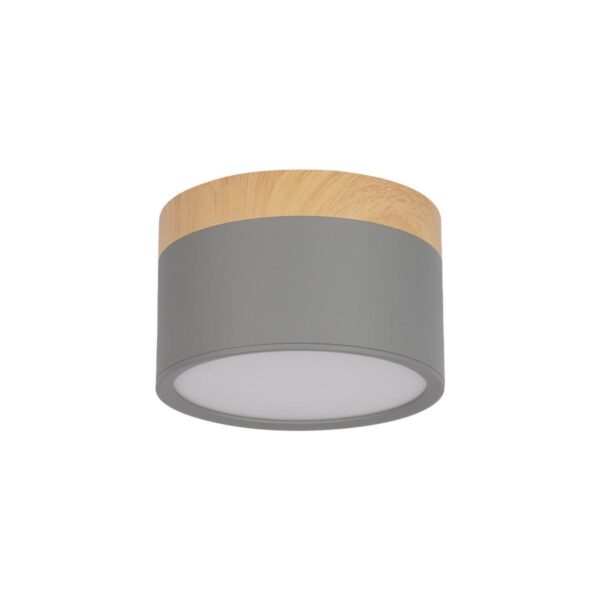 10162 Grey Накладной светильник LOFT IT Grape