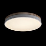 10001/36 White Потолочный светильник LOFT IT Axel — изображение 2