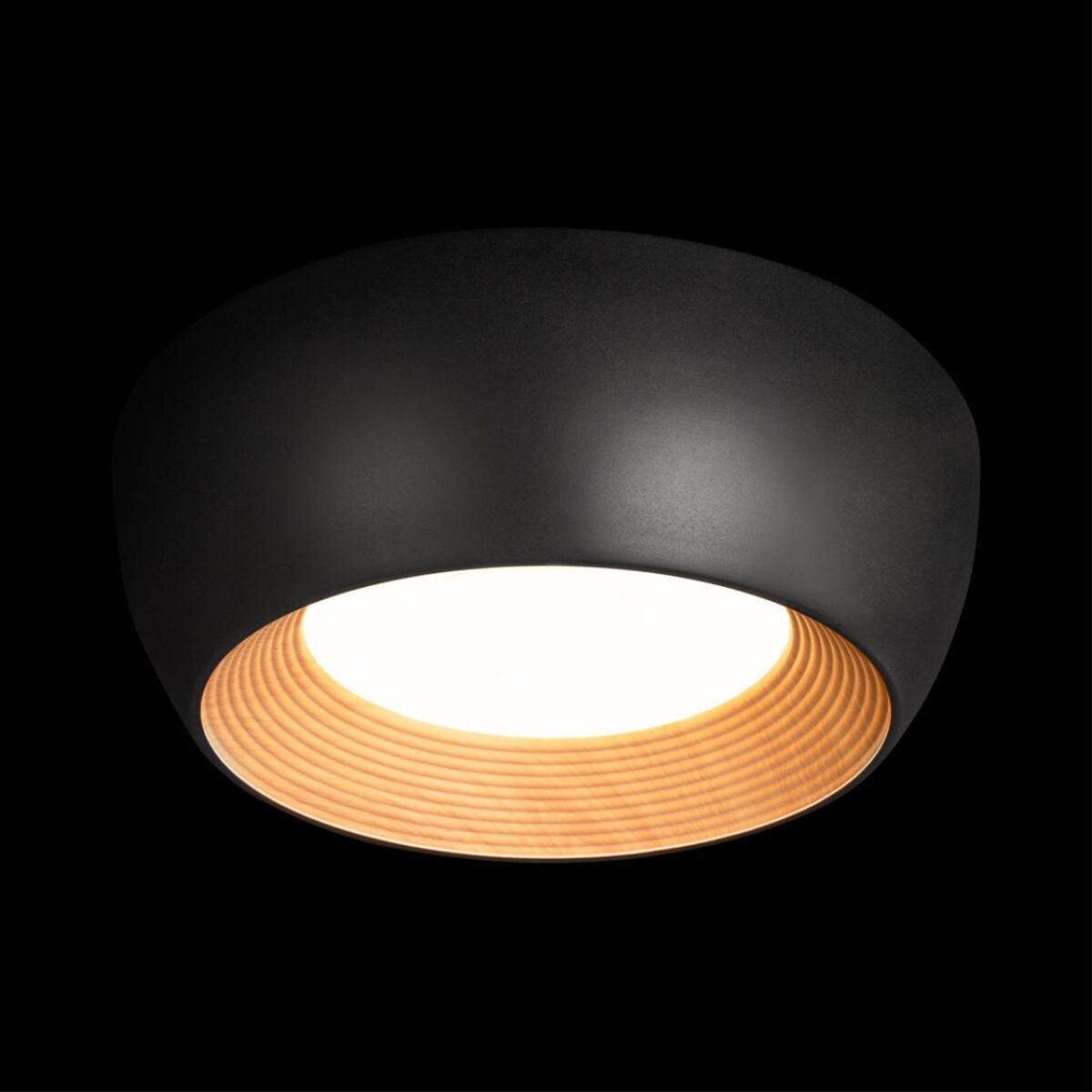 10255/350 Black Потолочный светильник LOFT IT Folk — изображение 2