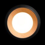 10255/350 Black Потолочный светильник LOFT IT Folk — изображение 3