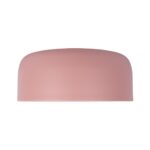 10201/350 Pink Потолочный светильник LOFT IT Axel — изображение 4