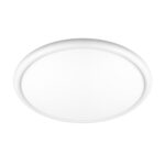 10454/500 White Потолочный светильник LOFT IT Sweety