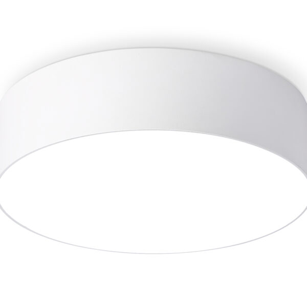 FV5516 WH белый LED 18W 4200K D160*58 (Без ПДУ)