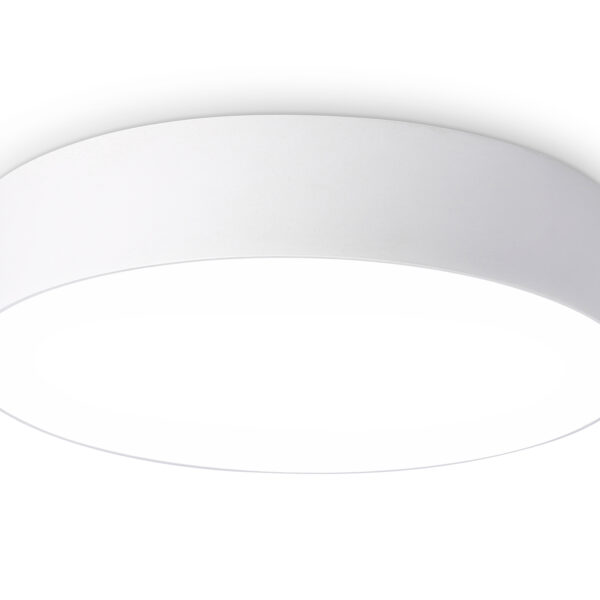 FV5524 WH белый LED 35W 4200K D300*58 (Без ПДУ)