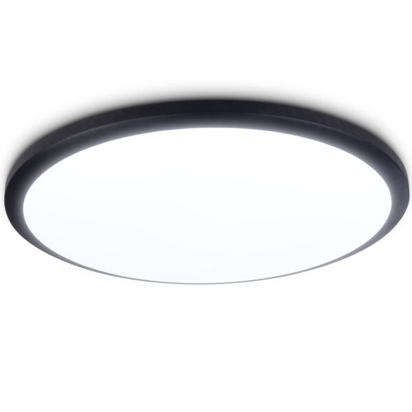 FZ1234 BK черный IP44 42W 6400К D370*55 (Без ПДУ)