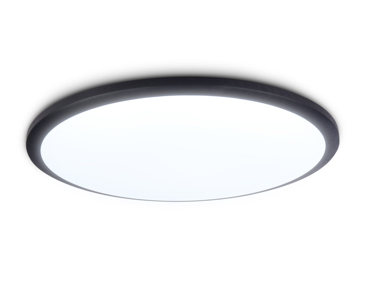 FZ1235 FZ1235 BK черный IP44 48W 6400К D450*55 (Без ПДУ) — изображение 1