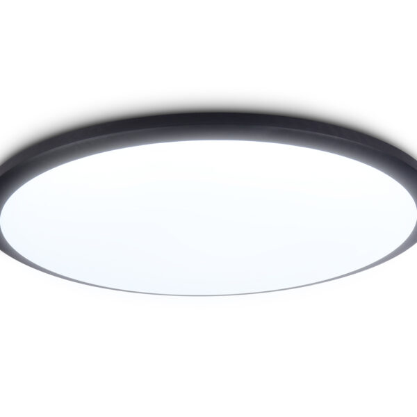 FZ1235 BK черный IP44 48W 6400К D450*55 (Без ПДУ)