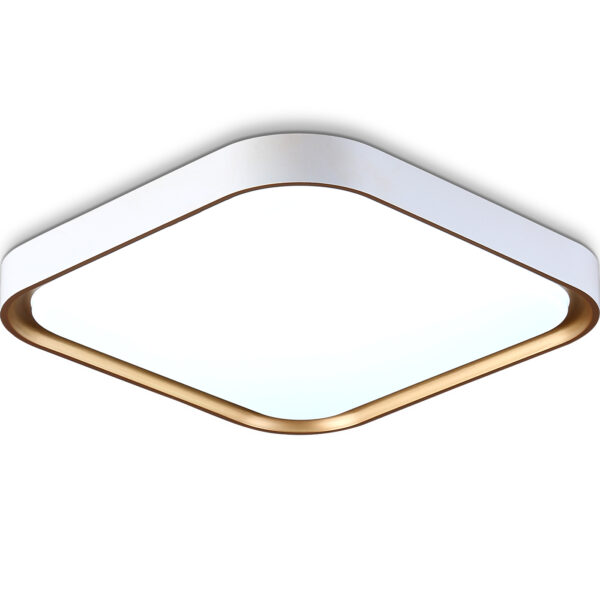 FZ1253 WH/GD белый/золото 18W 5000K 250*250*60 (Без ПДУ)