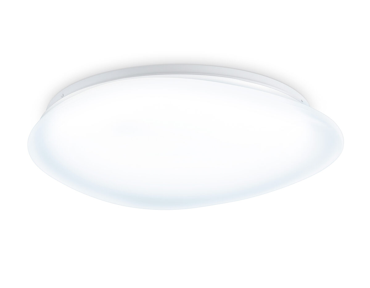 FZ1605 FZ1605 FR матовый IP20 60W 5000K 510*100 (Без ПДУ) — изображение 1