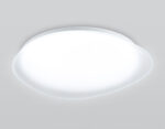 FZ1605 FR матовый IP20 60W 5000K 510*100 (Без ПДУ) — изображение 3