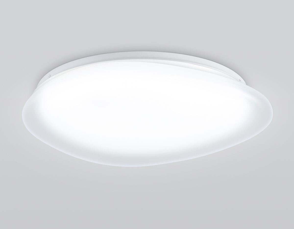 FZ1605 FR матовый IP20 60W 5000K 510*100 (Без ПДУ) — изображение 4