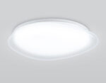 FZ1605 FR матовый IP20 60W 5000K 510*100 (Без ПДУ) — изображение 4