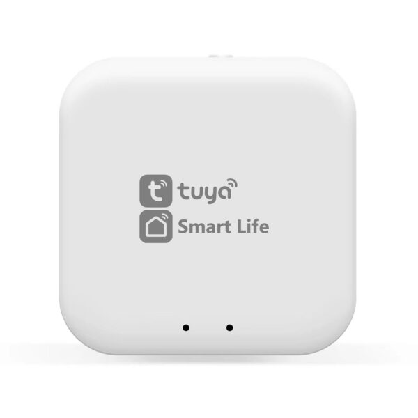 GL1920 WH белый Wi-Fi TUYA/Smart Life