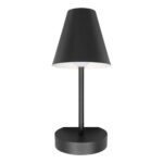 10216/1W Black Настенный светильник LOFT IT Shelf — изображение 3