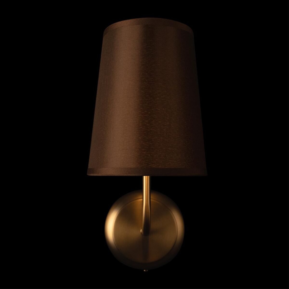 10527W Brass Настенный светильник LOFT IT Hilton — изображение 3