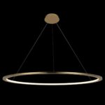 10014XXL Подвесной светильник LOFT IT Ring — изображение 2
