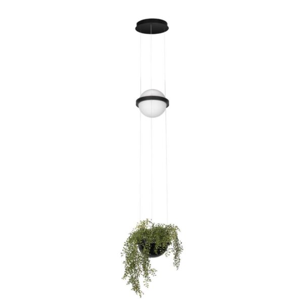 10121/B  Подвесной светильник LOFT IT Jardin